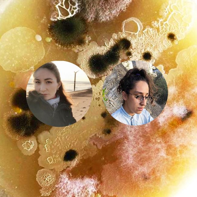 Mariana y sus bacterias